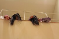 舞台袖でうなだれる安藤ゆず（左）と大黒柚姫（右）の「ゆずゆず」コンビ。