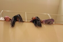 舞台袖でうなだれる安藤ゆず（左）と大黒柚姫（右）の「ゆずゆず」コンビ。