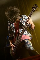 ちょび（B）（撮影：釘野孝宏）