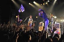 「髭×0.8秒と衝撃。 in "DECADE”」髭のライブの様子。