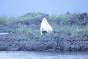 Her Ghost FriendのDJ Obake、ドリーミーな初ソロ作
