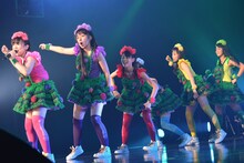 「チームしゃちほこ 2013秋のZeppZeppBLITZ」大阪公演第2部の様子。