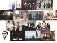 V.A.「ROCK AND SYMPATHY -tribute to the pillows-」参加アーティスト