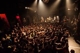 ANGRY FROG REBIRTH「Dance in the dark Tour -Final-」の様子。