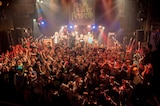 ANGRY FROG REBIRTH「Dance in the dark Tour -Final-」の様子。