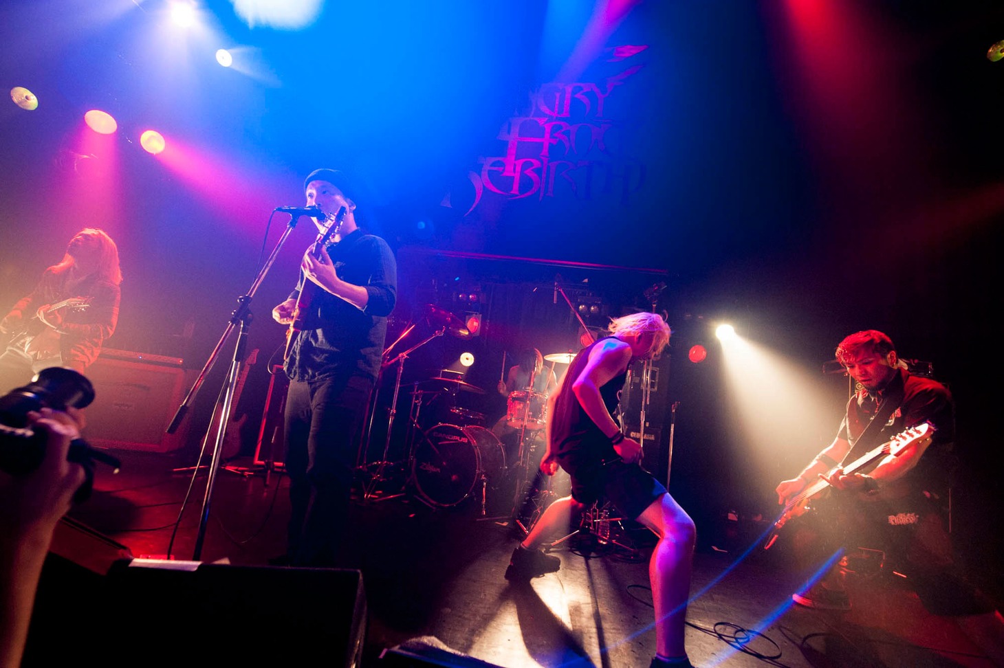 ANGRY FROG REBIRTH