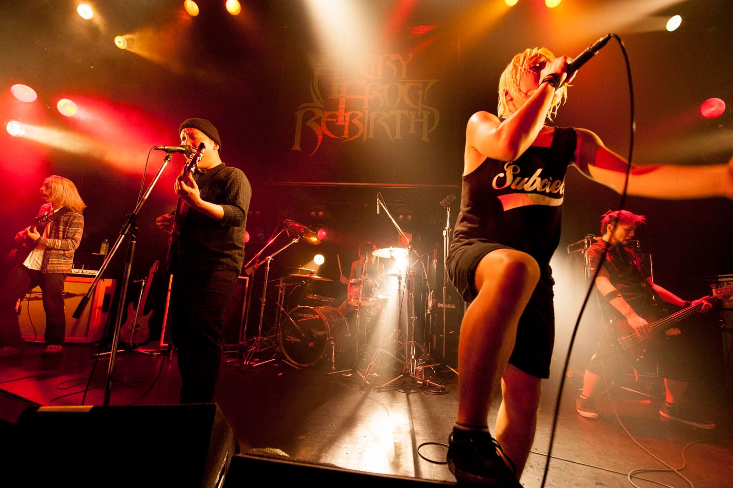 ANGRY FROG REBIRTH