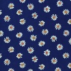 きのこ帝国、関和亮が監督務める「海と花束」PV公開