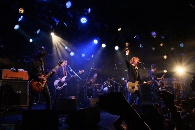 ZEPPET STORE