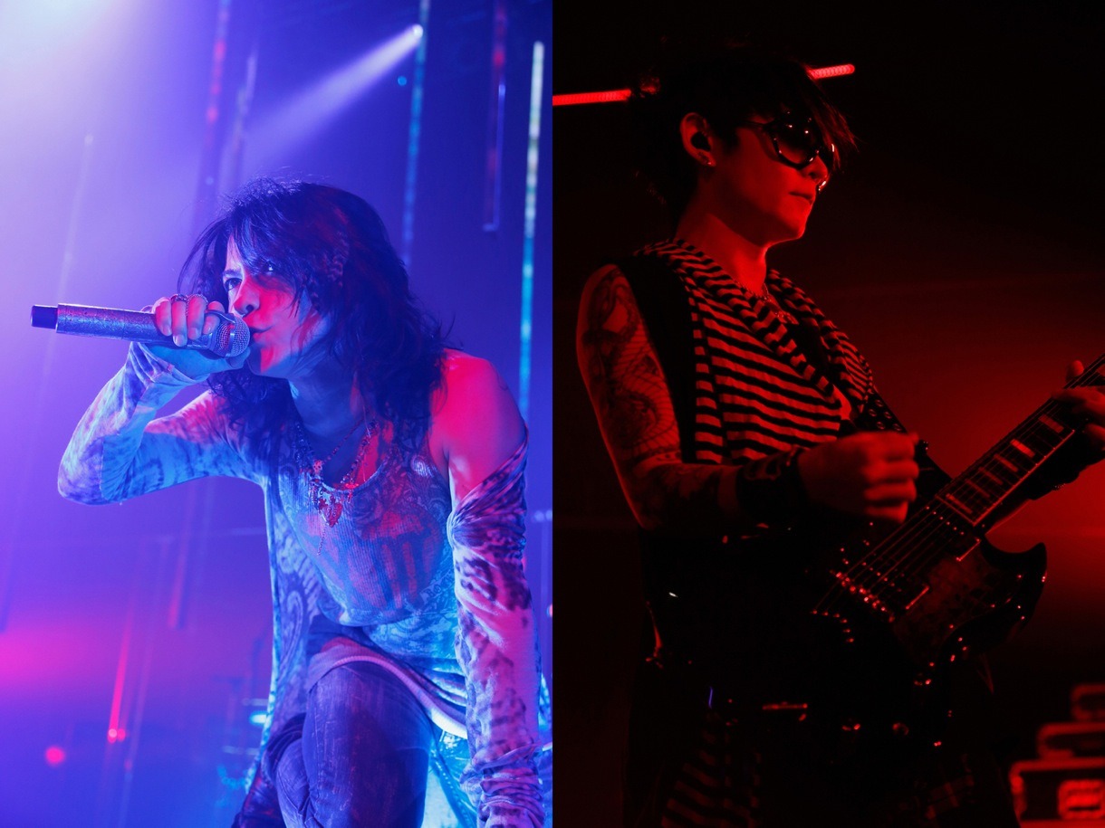 VAMPS