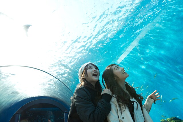 左から若月佑美、桜井玲香。