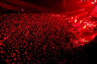 NICO Touches the Walls「1125（イイニコ）の日LIVE」の様子。（撮影：上飯坂一）