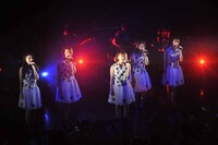 「THE ポッシボー単独ライブ2013秋 ～Doする？？？？？～」の様子。