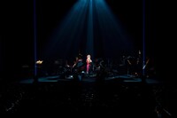 椎名林檎「椎名林檎十五周年 党大会 平成二十五年神山町大会」の様子。（撮影：荒井俊哉）