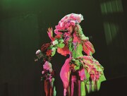 ALI PROJECT「ALI PROJECT TOUR2013 令嬢薔薇図鑑顧客閲覧会」ツアーファイナルの様子。