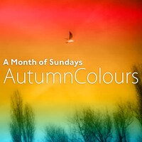 A Month of Sundays「Autumn Colours E.P.」配信ジャケット