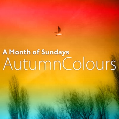 A Month of Sundays「Autumn Colours E.P.」配信ジャケット