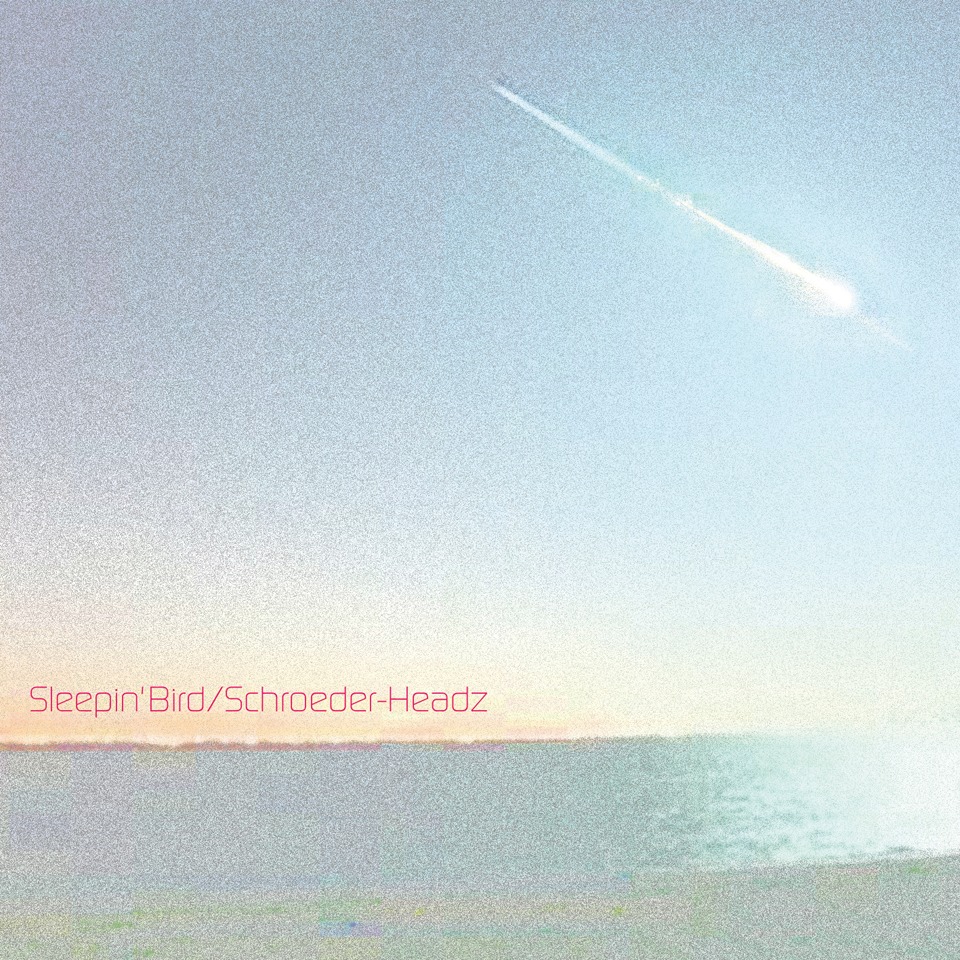 Schroeder-Headz「Sleepin' Bird」ジャケット