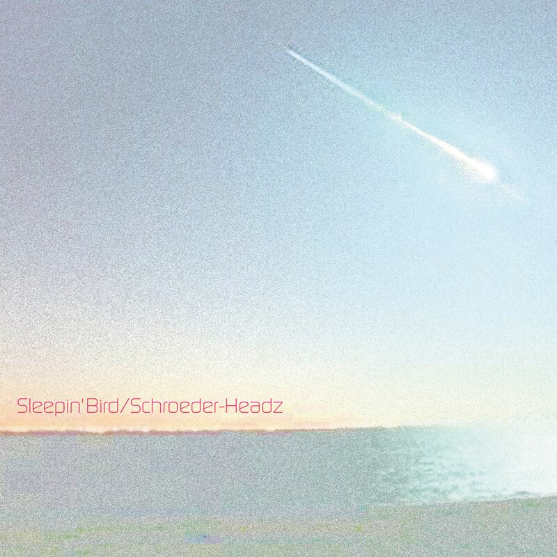 Schroeder-Headz「Sleepin' Bird」ジャケット
