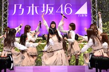 乃木坂46