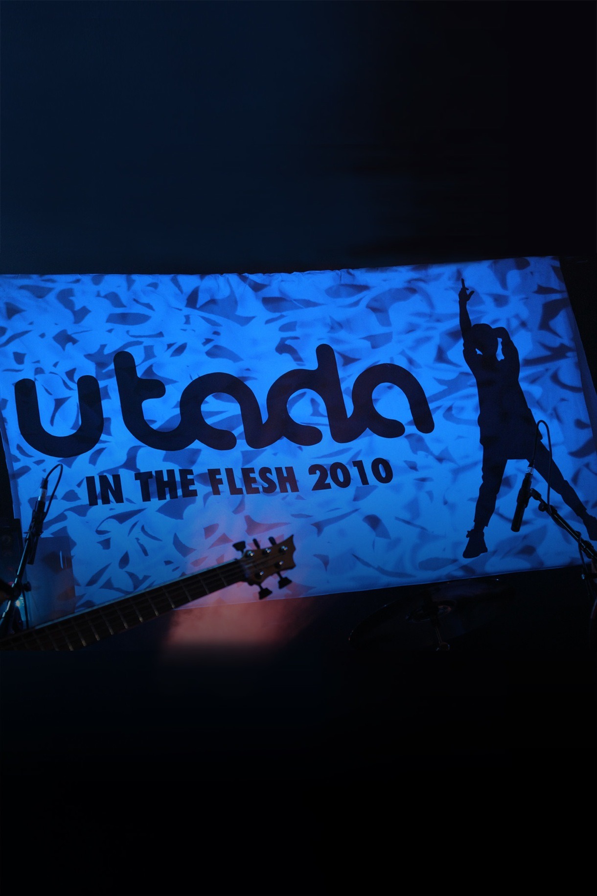 Utada「Utada/Utada Hikaru: In The Flesh 2010」ジャケット