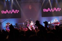 東京・Zepp DiverCity TOKYOでのツアーファイナルの模様。（Photo by HayachiN）