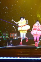 花道を全力疾走するくっつきブンブン。