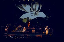 Dragon Ash「Lily's Party」の様子。（Photo by Kentaro Kambe）