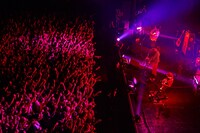 クリープハイプ「秋、零れる程のクリープハイプ」東京・Zepp DiverCity TOKYO公演の様子。