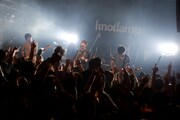 knotlamp「Hello to Nostalgia TOUR 2013」の様子。