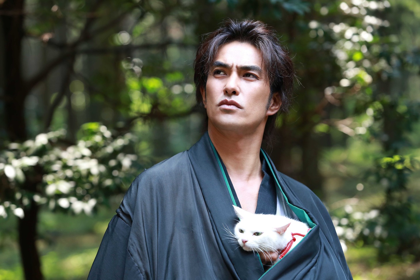 「猫侍 南の島へ行く」 (c)2015「続・猫侍」製作委員会