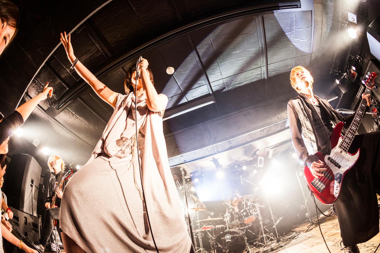 「MUSHIFEST 2013」光STAGEの蟲ふるう夜に。