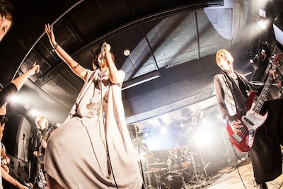 「MUSHIFEST 2013」光STAGEの蟲ふるう夜に。