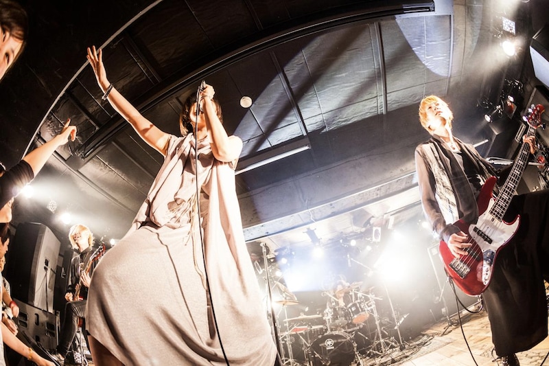 「MUSHIFEST 2013」光STAGEの蟲ふるう夜に。