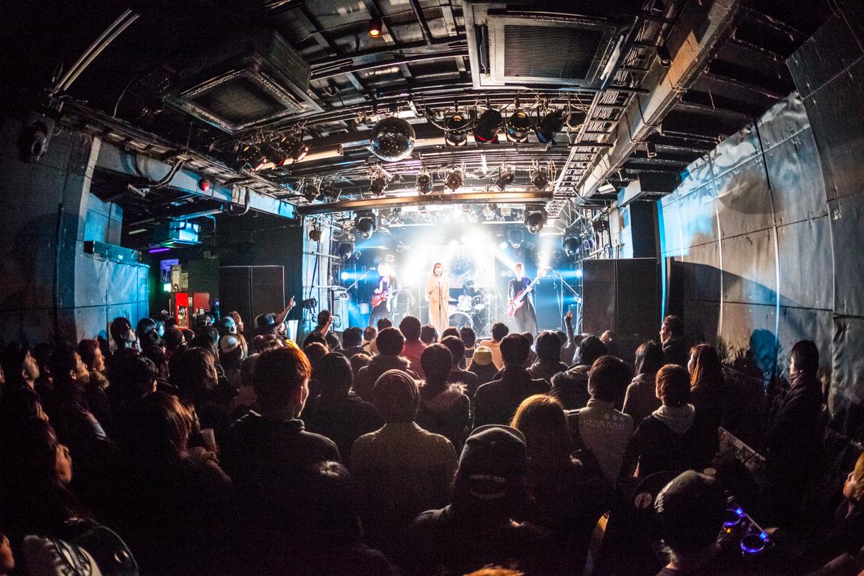 「MUSHIFEST 2013」光STAGEの蟲ふるう夜に。