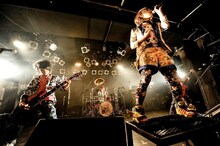 「華麗なる激情 Vol.7」東京公演にゲスト参加したDIV。（撮影：釘野孝宏、伊坂謙）