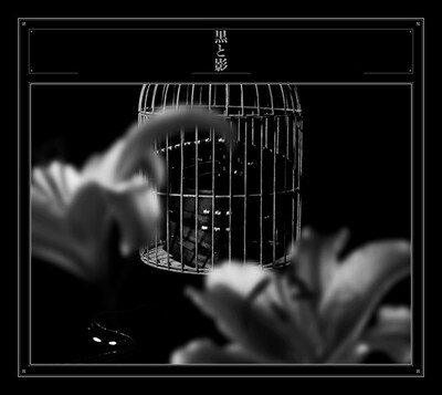 黒夢「黒と影」初回限定盤ジャケット