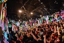 the telephones「SUPER DISCO Hits!!! "nico nico"」の様子。（撮影：古溪一道）