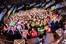 the telephones「SUPER DISCO Hits!!! "nico nico"」の様子。（撮影：古溪一道）