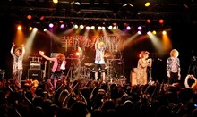 カメレオ（撮影：釘野孝宏）