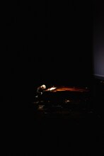 「細野晴臣×坂本龍一」の模様。