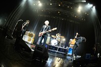 THE BAWDIES（撮影：橋本塁）