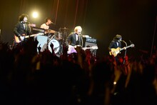 THE BAWDIES（撮影：橋本塁）