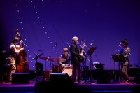 細野晴臣（撮影：太田好治）