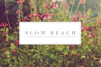 Slow Beach