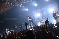 Crossfaith