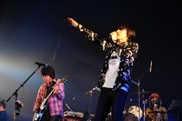 真心ブラザーズ