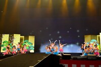 チームホタルイカ