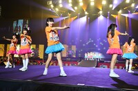 チームホタルイカ