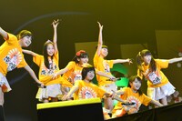 チーム大王イカ